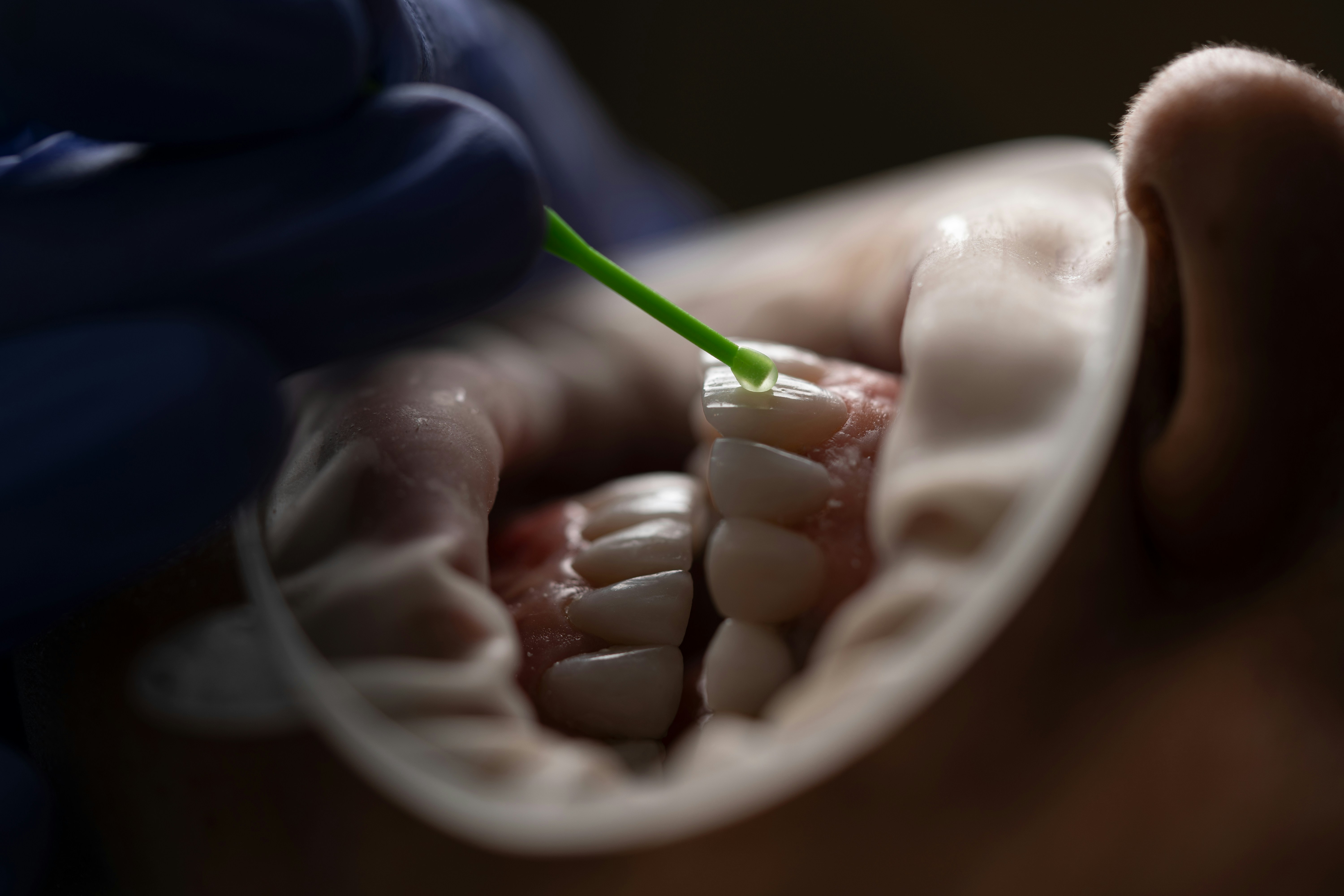 Endodontia
